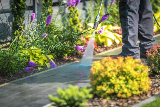 Best House Exterior Washing  in Hilbert, WI